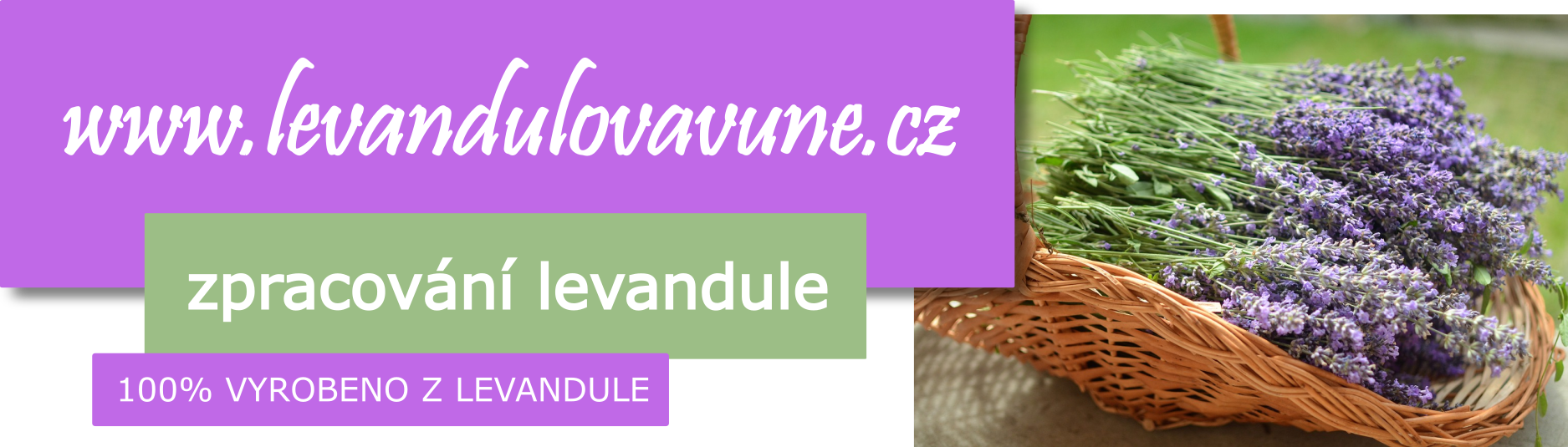 levandule